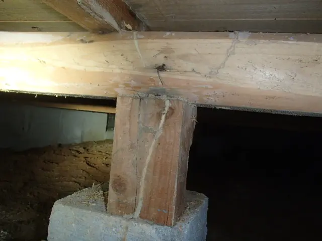 《創業１９年》シロアリ予防・駆除専門（床下に関することなら何でもおまかせ）サービスの画像