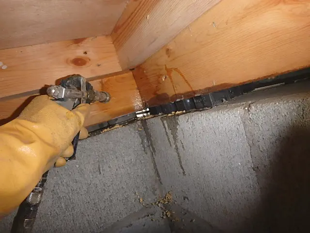 《創業１９年》シロアリ予防・駆除専門（床下に関することなら何でもおまかせ）サービスの画像