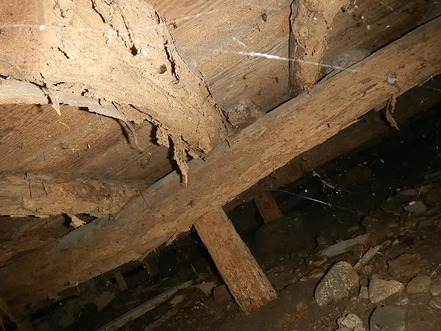 《創業１９年》シロアリ予防・駆除専門（床下に関することなら何でもおまかせ）サービスの画像