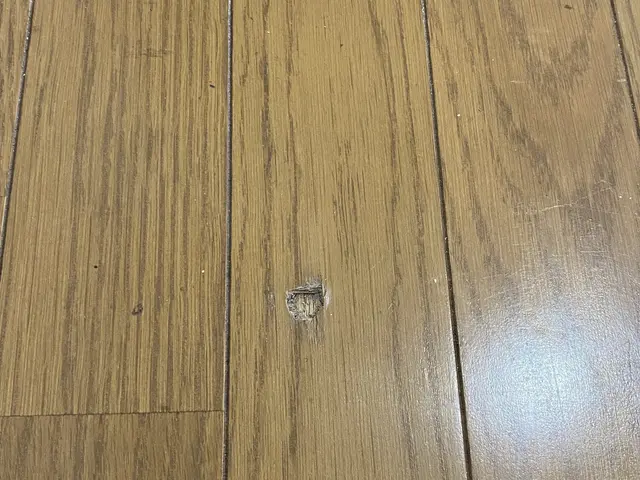 【住宅補修】フローリング・建具・巾木・木ドア・サッシ等凹みキズ補修致しますサービスの画像