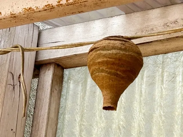 当日、翌日対応頑張ります！再発保証&戻り蜂対策有◎クレジット決済可能◎サービスの画像