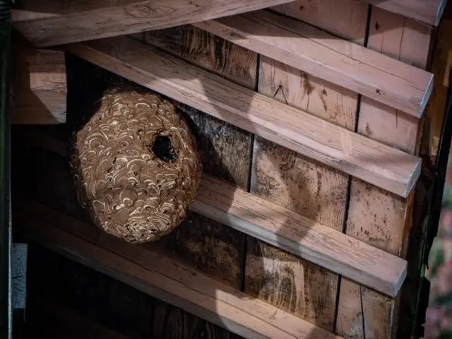 当日、翌日対応頑張ります！再発保証&戻り蜂対策有◎クレジット決済可能◎サービスの画像