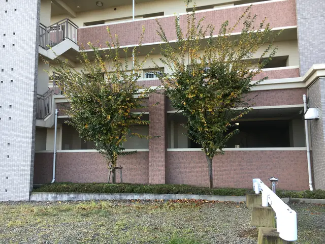 お庭の事なら何でもご相談下さい。お客様のご要望にできる限りお応えします！サービスの画像