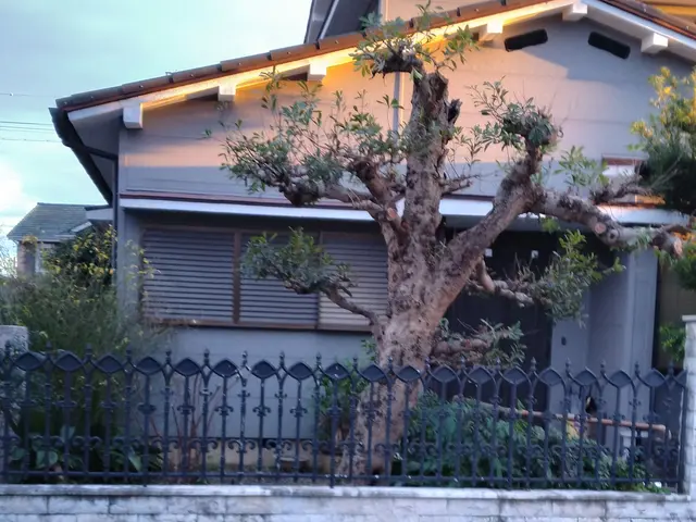 庭木の剪定作業をお任せください。ご要望をお聞かせください　現地見積対応可サービスの画像