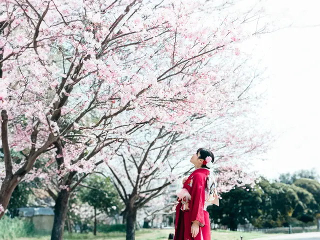 【着付け師1級】簡単ポージング指導付き、自然体を可愛く撮影