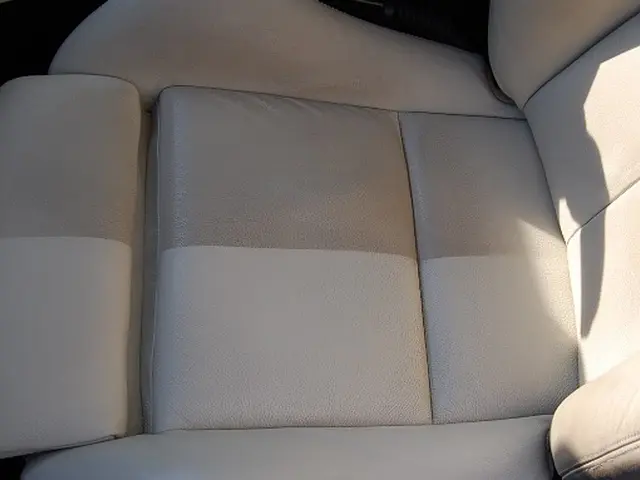 プロ技！スチーム洗浄で手強いシミ，悪臭を退治☆持ち込みなら当日対応可能◎サービスの画像