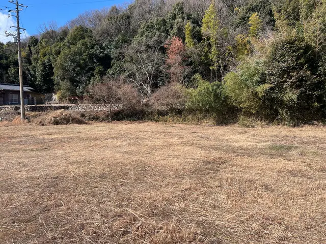 自社スタッフによる丁寧作業で隅々まで美しく！営業時間外・対応地域外も相談OKサービスの画像