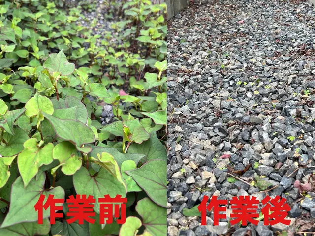 自社スタッフによる丁寧作業で隅々まで美しく！営業時間外・対応地域外も相談OK。サービスの画像