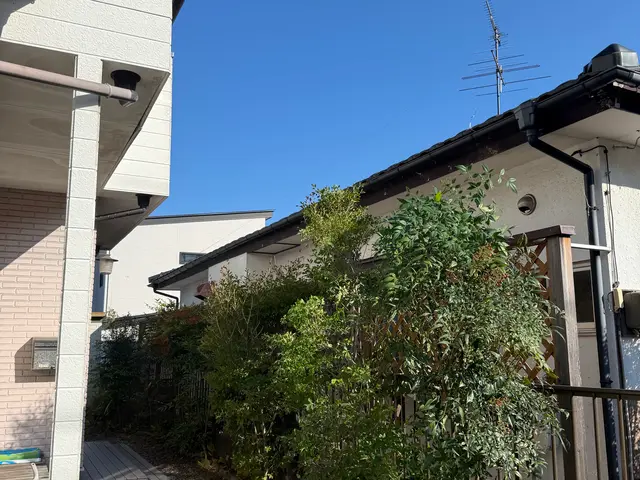 管理が大変になった庭木の伐採いたします。複数本なら割引あり！サービスの画像