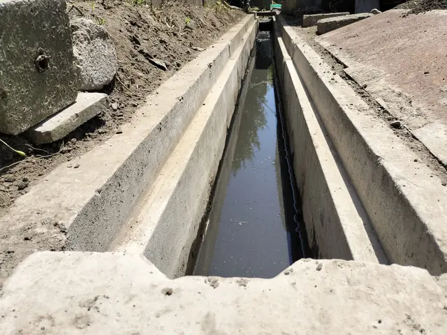 【側溝掃除】 お役に立てるよう頑張ります！《女性スタッフ活躍中！》サービスの画像