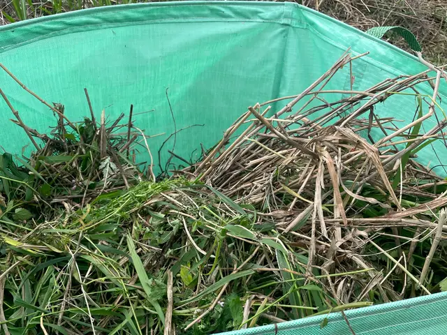 GWも元気に営業中！草刈り｜空き地・空き家対応｜回収まで一括｜見積無料サービスの画像