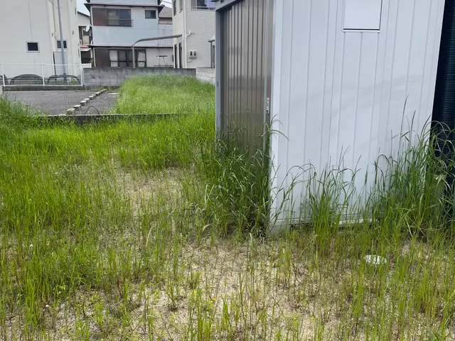 草刈り・草回収まで対応｜空き地管理もお任せ【営業時間外もご相談大歓迎】サービスの画像