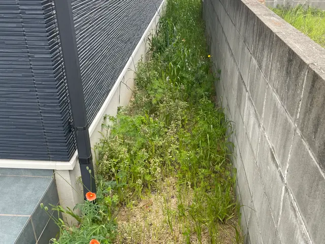 草刈り・草回収まで対応｜空き地管理もお任せ【営業時間外もご相談大歓迎】サービスの画像