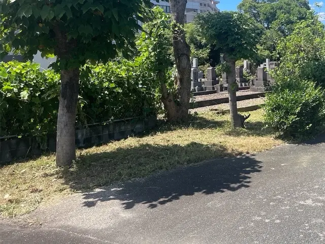 草刈と刈草の回収サービスの画像