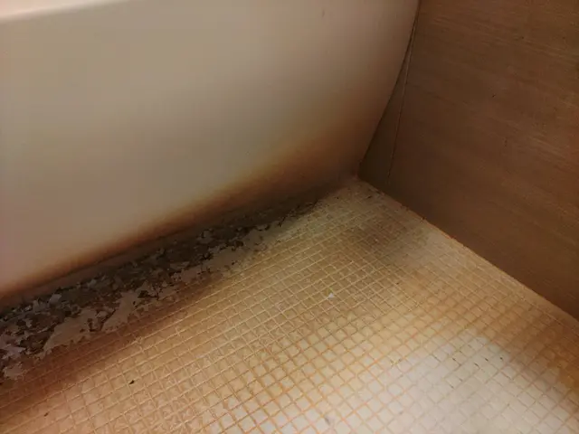 ただいま新年お掃除キャンペーン中です！！是非お得な時にご利用くださいサービスの画像