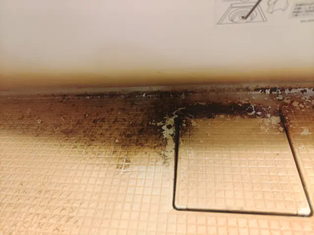 ただいま新年お掃除キャンペーン中です！！是非お得な時にご利用くださいサービスの画像