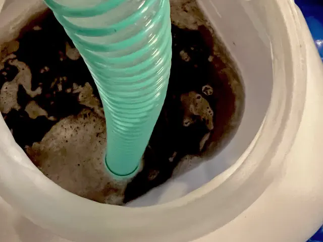 【ハウスクリーニング士が在籍】損害保険に加入済み◎親切・丁寧に対応いたします。サービスの画像