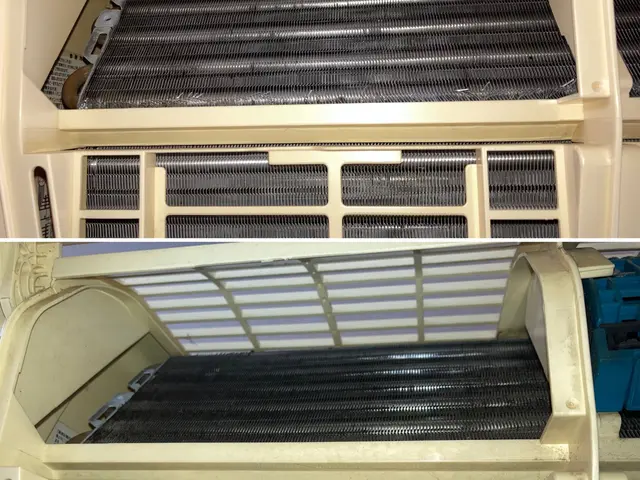 日本初！環境に優しいハウスクリーニング！ペットや小さなお子様にも安心エコ洗剤使用サービスの画像