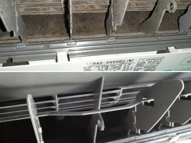 日本初！環境に優しいハウスクリーニング！ペットや小さなお子様にも安心エコ洗剤使用サービスの画像