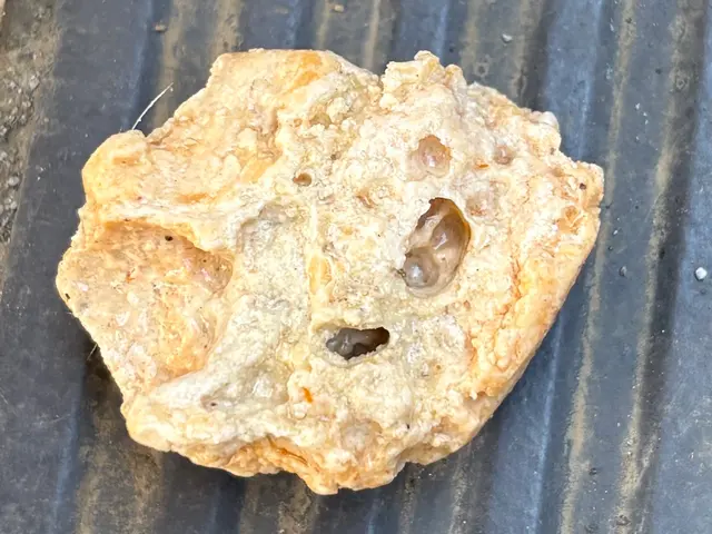 排水管高圧洗浄(台所/浴室)サービスの画像