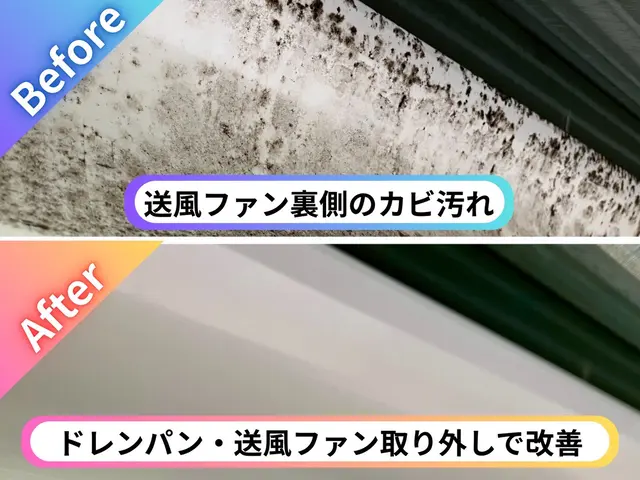 ¥8,800→¥7,700 各種クレジット・PayPay対応／損害保険加入済みサービスの画像