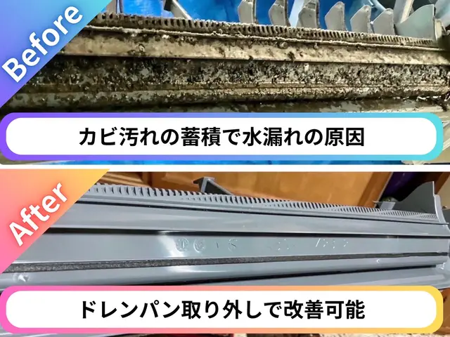 ¥8,800→¥7,700 各種クレジット・PayPay対応／損害保険加入済みサービスの画像
