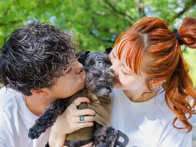 そろそろ桜も満開！今からでもご予約承ります！