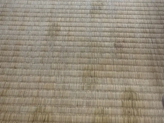 元大手14年実績《2時間〜でご依頼下さい》家事代行、整理整頓、生前整理、お片付けサービスの画像