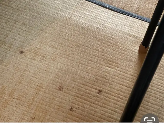 元大手14年実績《2時間〜でご依頼下さい》家事代行、整理整頓、生前整理、お片付けサービスの画像