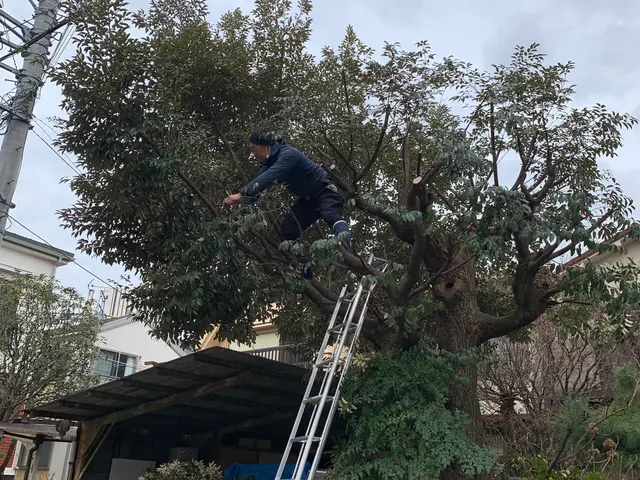 【見てくれてありがとうございます！】丁寧な仕事を心がけてます★経験15年★即対応サービスの画像