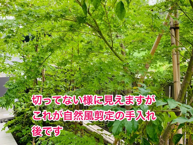 【見てくれてありがとうございます！】丁寧な仕事を心がけてます★経験15年★即対応サービスの画像