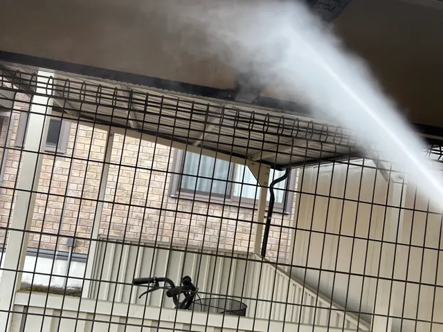 15年の経験！※夜間対応可能！即日対応可能の蜂の巣駆除！　１年間保証付き！サービスの画像