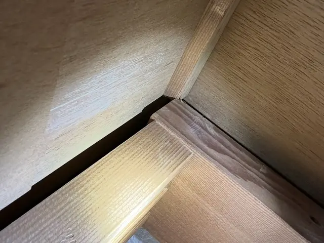 24h/即日可能！アリ撃退STOP！被害を抑え込みます！国家資格保持者の徹底駆除サービスの画像