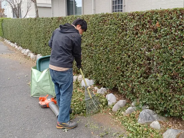 何年たっても大きさ、形が変わらない美しい生垣を！サービスの画像