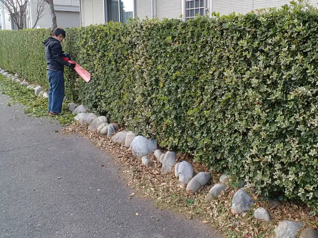 何年たっても大きさ、形が変わらない美しい生垣を！サービスの画像