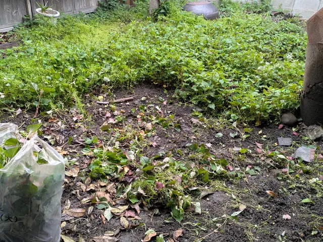 お客様のお力になります！経験と知識を活かして迅速丁寧に作業いたします！サービスの画像