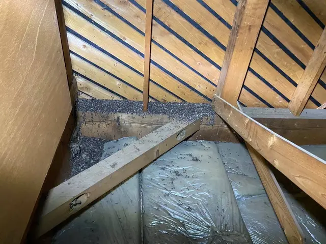 【完全駆除のお約束】全ての侵入口を塞ぎます。無料見積もり可能ですサービスの画像