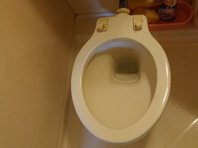 急な来店もOK!どんな汚れも喜んで対応します☆快適な空間を保ち運気UP☆サービスの画像