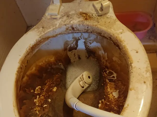 急な来店もOK!どんな汚れも喜んで対応します☆快適な空間を保ち運気UP☆サービスの画像