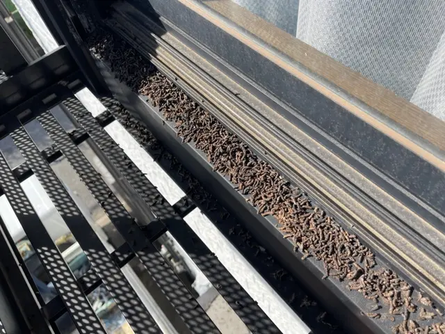 コウモリ駆除お任せ下さい！【業界10年以上！完全自社対応◎】年中無休で対応中！サービスの画像