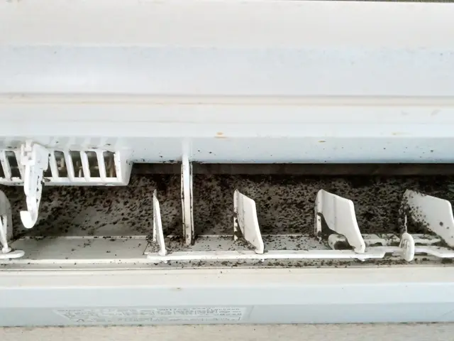 消臭・抗菌コート無料サービス！サービスの画像