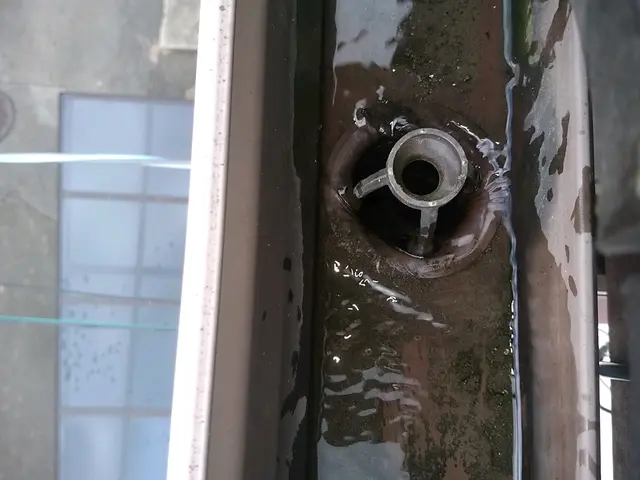 雨樋お掃除110番サービスの画像