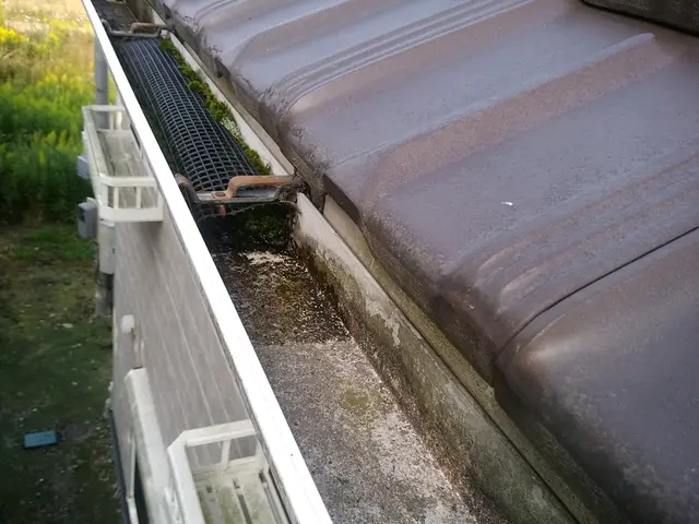 雨樋お掃除110番サービスの画像