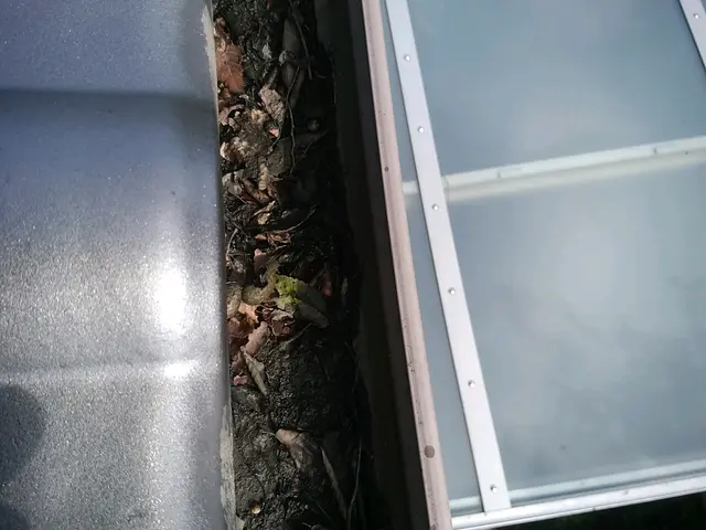 雨樋お掃除110番サービスの画像