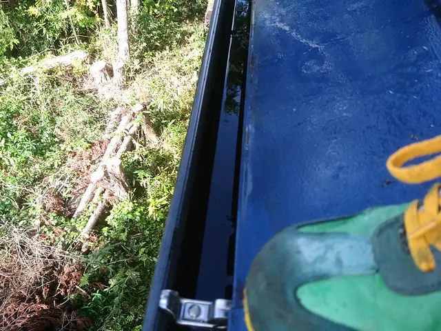 雨樋お掃除110番サービスの画像