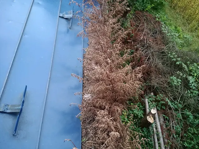 雨樋お掃除110番サービスの画像