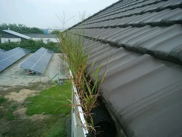 雨樋お掃除110番サービスの画像