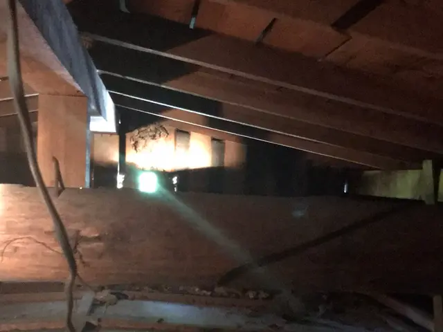 蜂の巣駆除《蜂でお困りの方、お気軽にご相談くださいませ》◎エリア外も対応可能サービスの画像