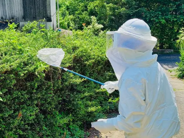 蜂の巣駆除《蜂でお困りの方、お気軽にご相談くださいませ》◎エリア外も対応可能サービスの画像