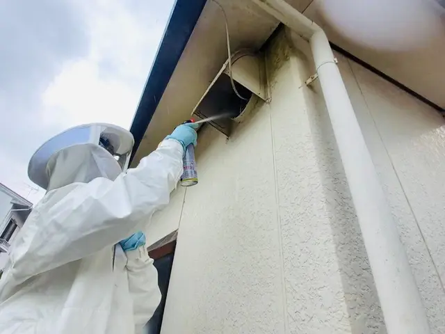 蜂の巣駆除《蜂でお困りの方、お気軽にご相談くださいませ》◎エリア外も対応可能サービスの画像